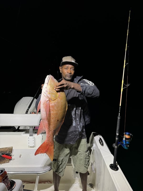 Beau vivaneau rouge pêché de nuit en Martinique
